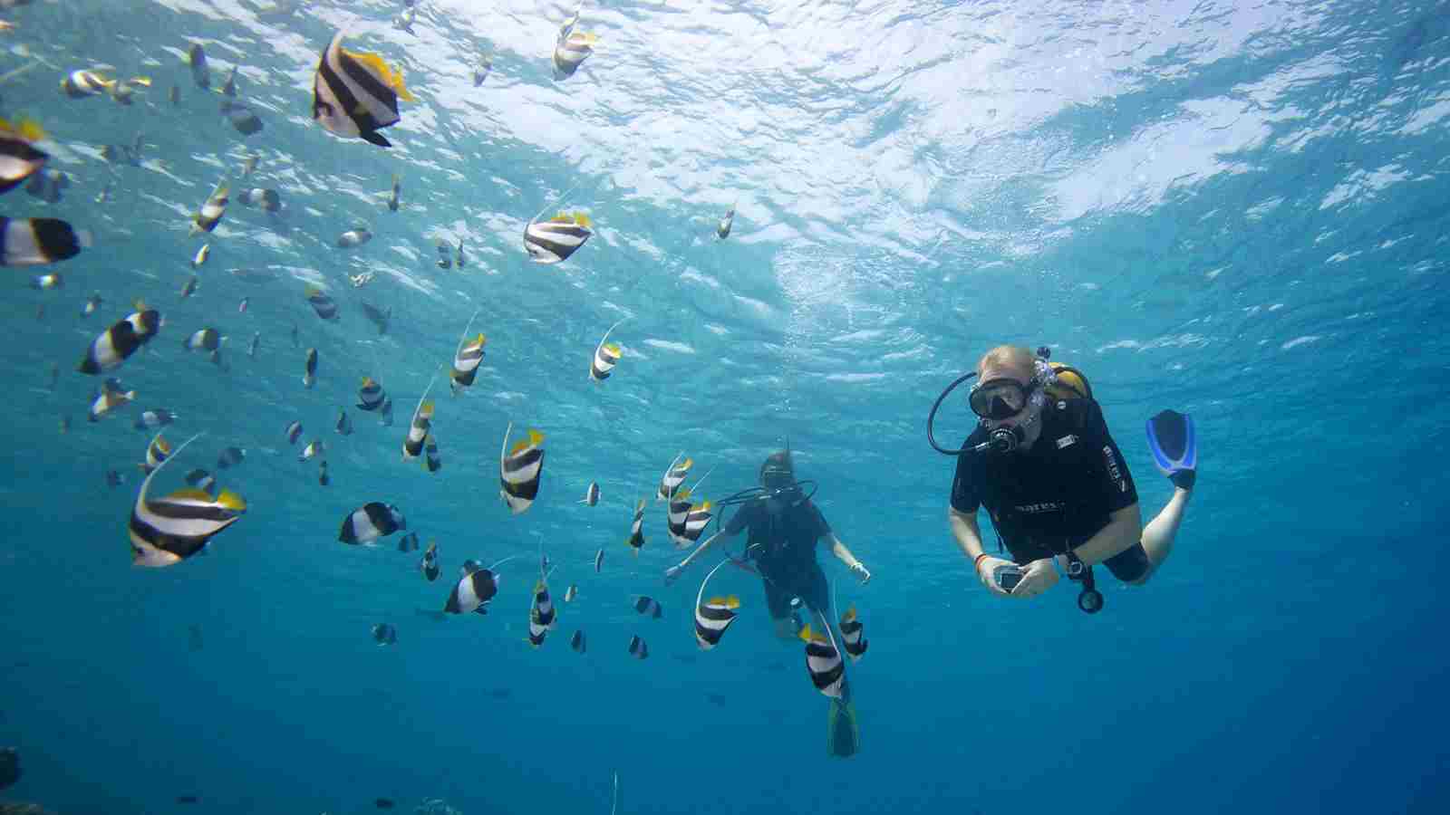 Dihamri Marine Protected Area